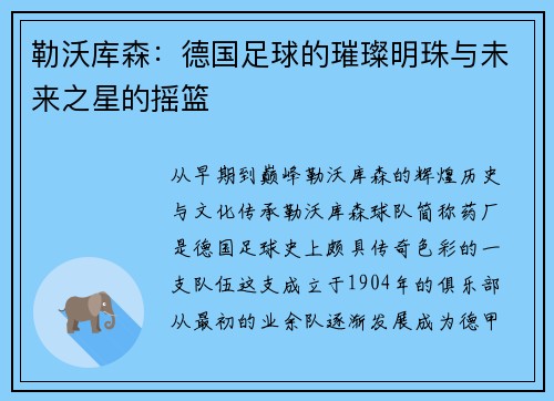 勒沃库森：德国足球的璀璨明珠与未来之星的摇篮
